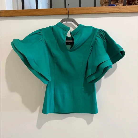 Green Designer Puff Sleeve Top - Picture 5 of 10